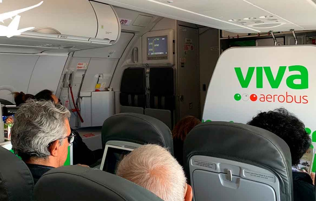 Viral: Joven denuncian a VivaAerobus por perder a su perrito durante vuelo